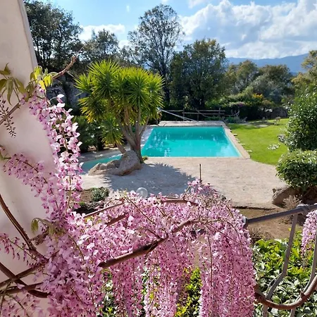 Sardinia Family Villas - Villa Gaia With Private Pool In The Countryside Sant'Antonio di Gallura Exterior photo